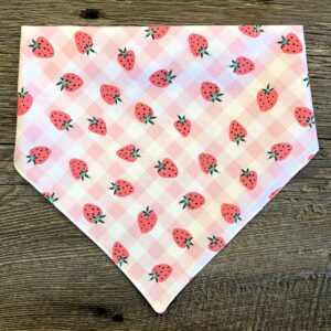 EZ Scrunch Summer Strawberry