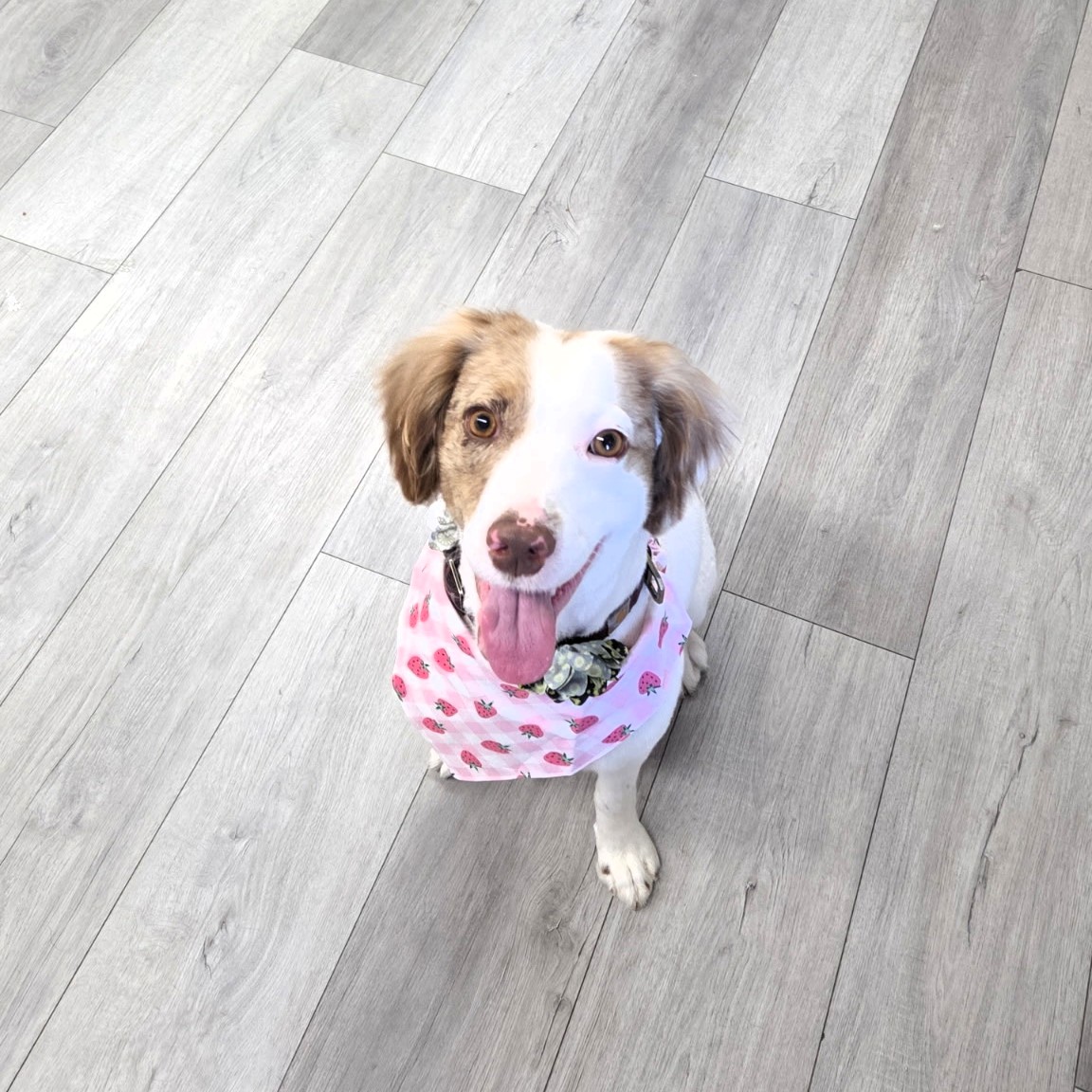 EZ Scrunch Pink Strawberry - Image 3